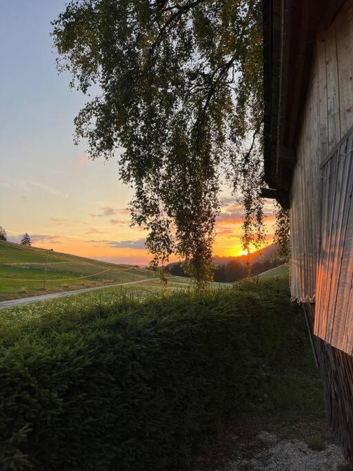 Nuit Insolite - La Cabane Du Haut-Doubs Les Gras Екстер'єр фото